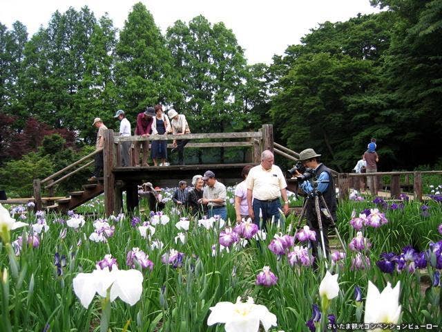 染谷花しょうぶ園