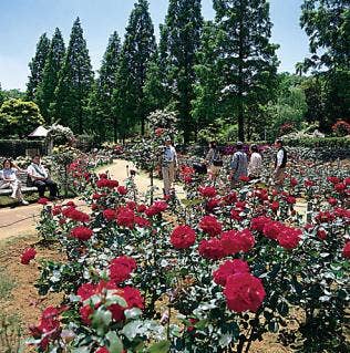 都市緑化植物園