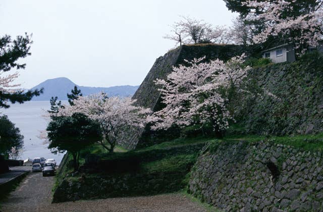 暘谷城趾の桜