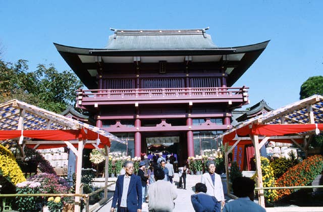 笠間稲荷神社の菊
