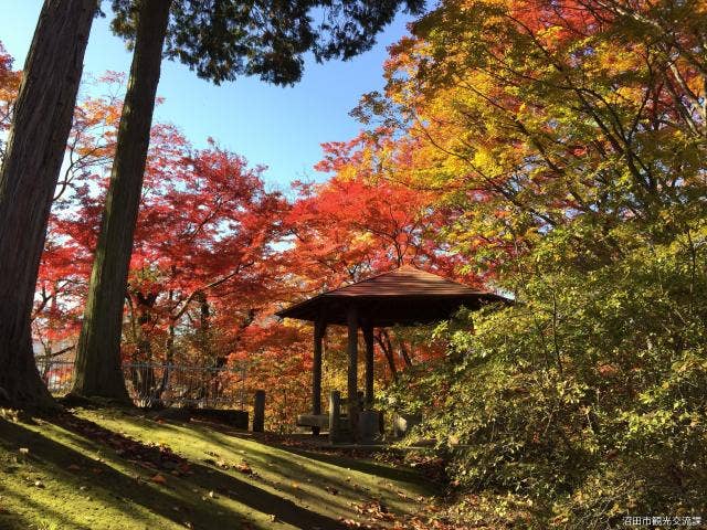 沼田公園の紅葉(東屋)