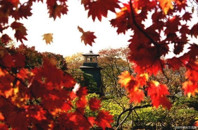 沼田公園の紅葉(鐘楼)