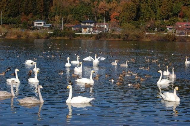 内町湖