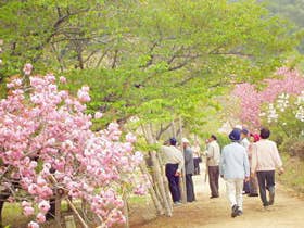 小鳥の森（三徳園）