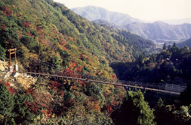 新童子橋（つり橋）