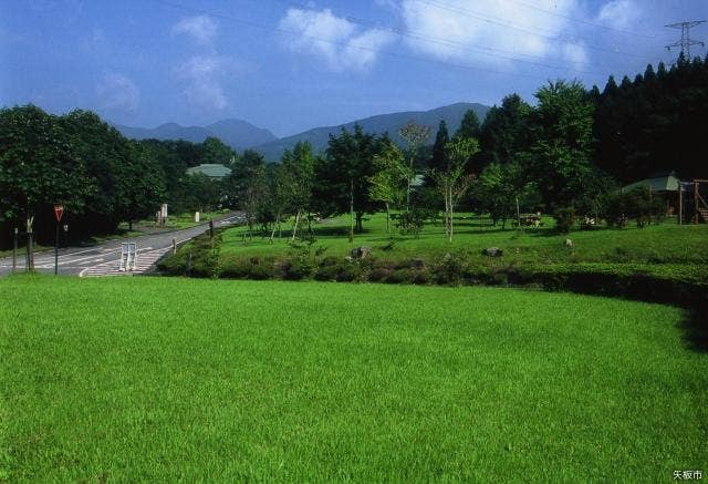 県民の森