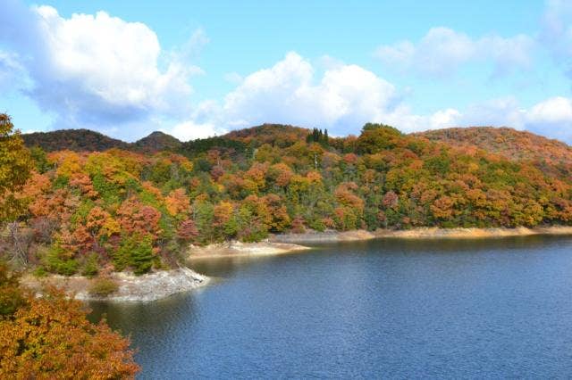 東条湖