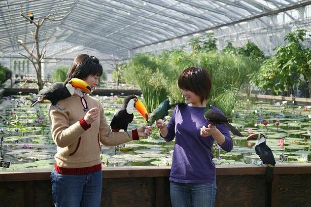 掛川花鳥園