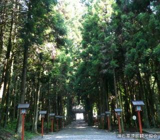 油木亀鶴山八幡神社