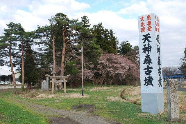 天神森古墳・亀森山天満宮