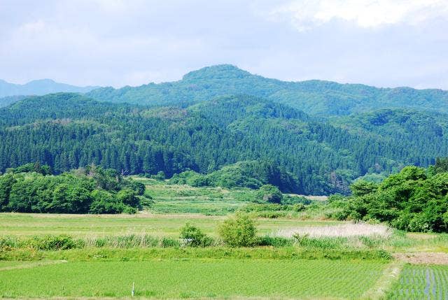 高峰山