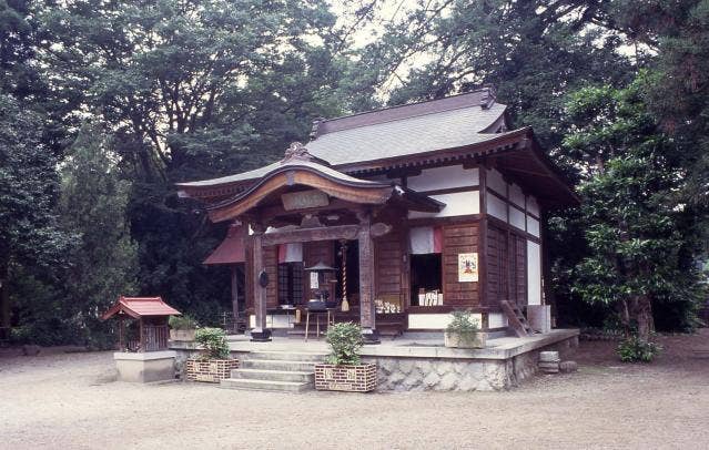 海雲寺の招き猫