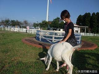 稲葉山ふれあい動物広場