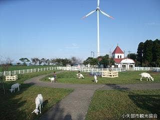 稲葉山ふれあい動物広場