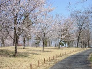 大宮自然公園(1)