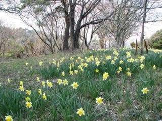 大宮自然公園(2)