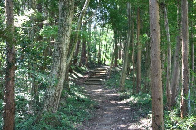 深山自然観察路