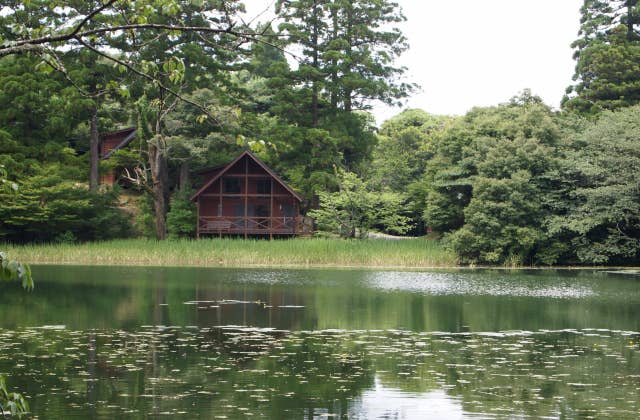 池の山キャンプ場