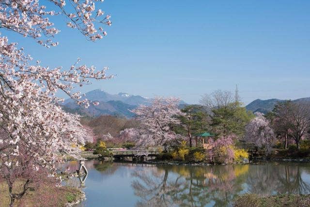 四季の里　緑水苑の桜