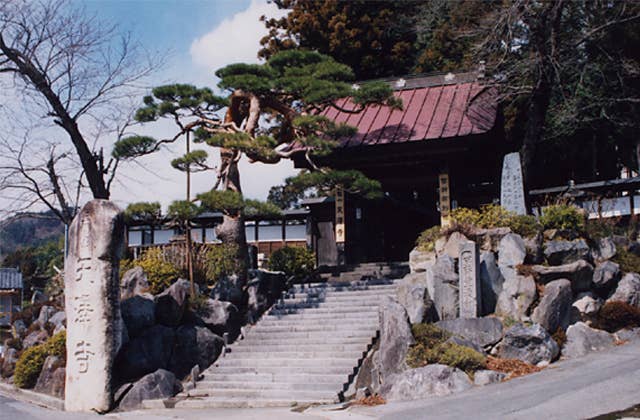 天澤寺