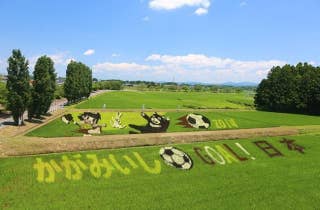 2014田んぼアート「金太郎」