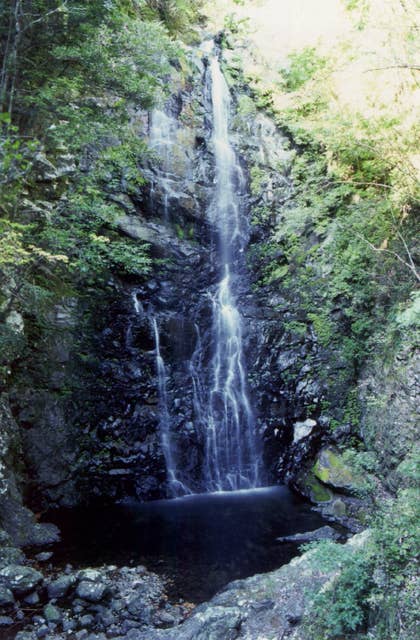 仙崎山