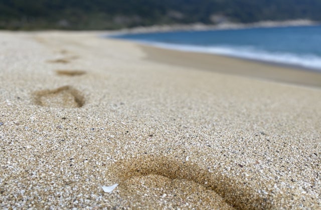 辺塚海岸 / 鹿児島県 -【JAPAN 47 GO】