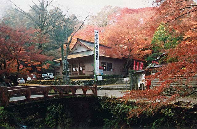 鰐淵寺のモミジ