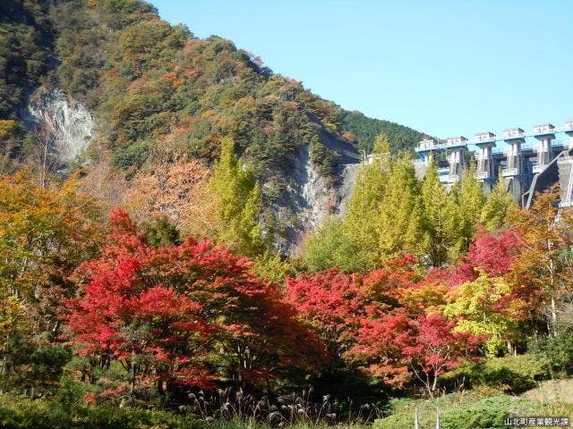 ダム広場(三保ダム）