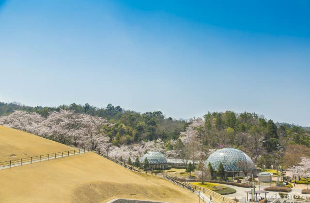 鞍ケ池公園植物園