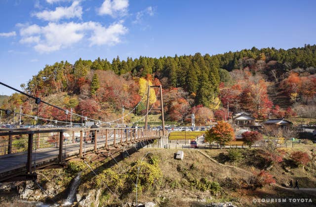 大井平公園の紅葉