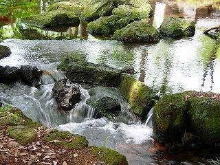 白滝公園内の湧水