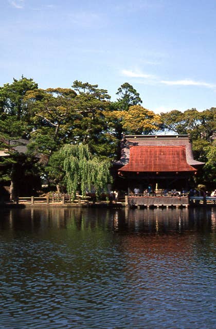 賢沼ウナギ生息地