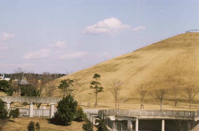 龍ケ岡公園