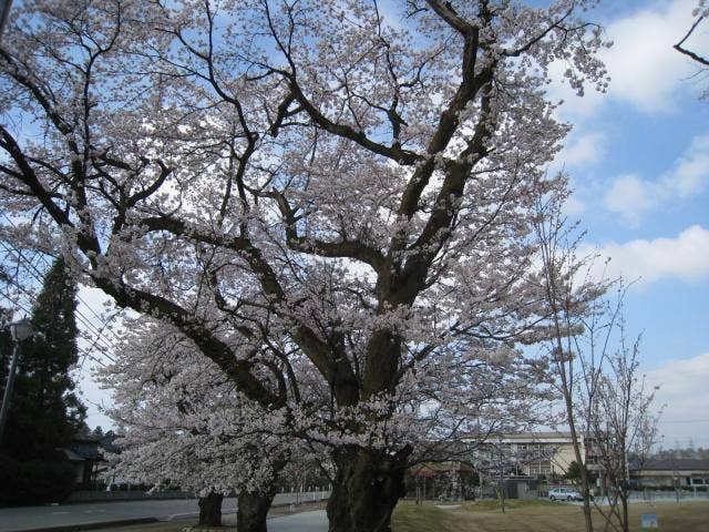 春日公園