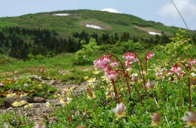 森吉山