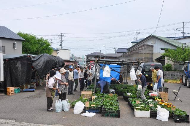 十文字の朝市