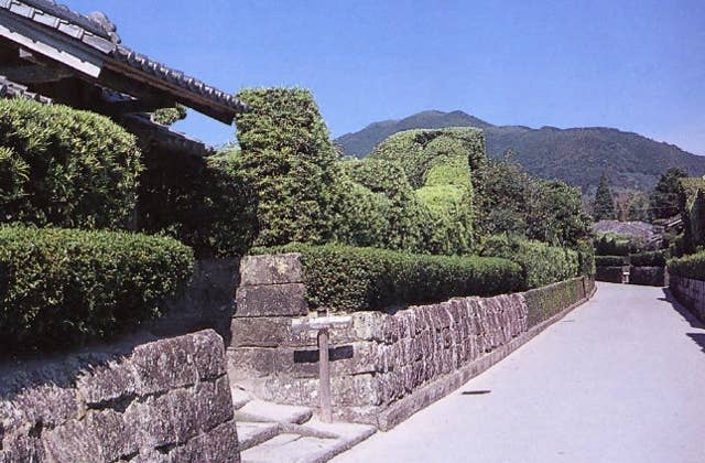 Mt.