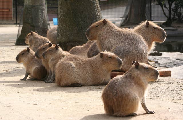 長崎バイオパーク