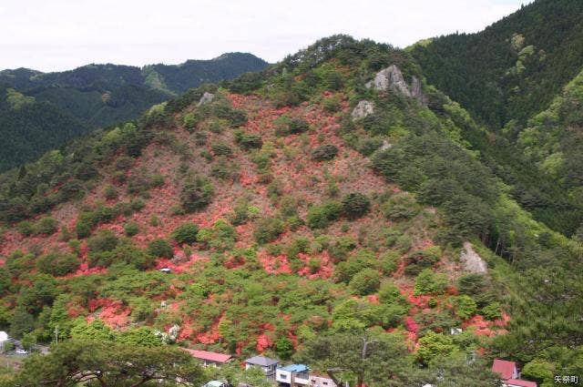 矢祭山