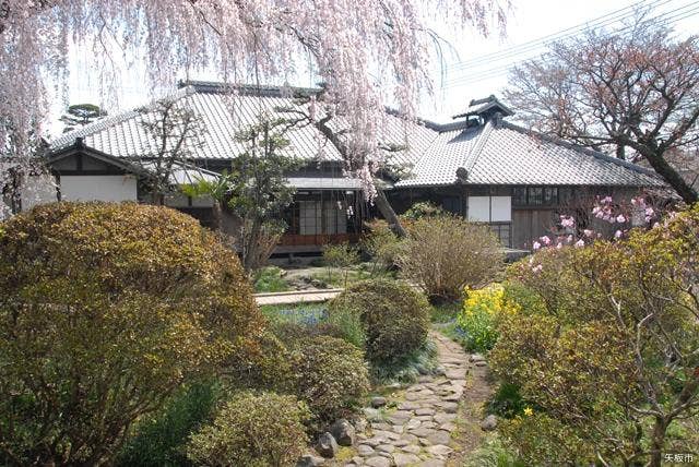 シダレザクラが満開に咲く矢板武記念館の裏庭