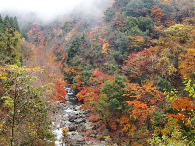 福士川渓谷