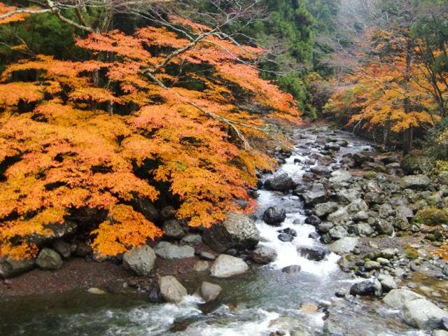 福士川渓谷（石合）