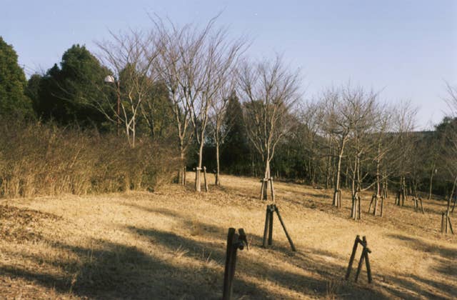 つくばの里向陽台公園