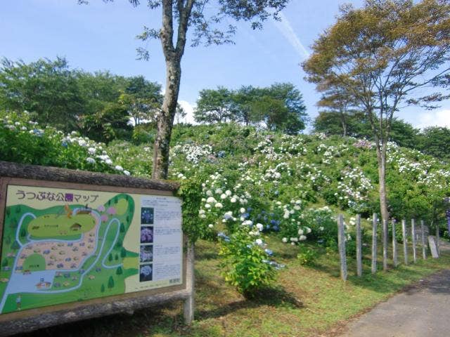 うつぶな公園