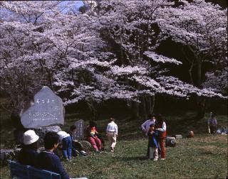 天満山公園