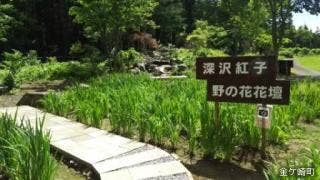 深沢紅子野の花花壇