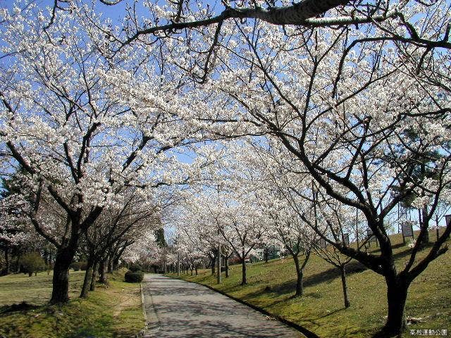 高松運動公園