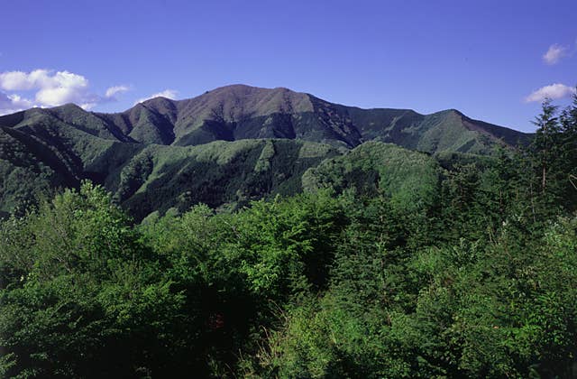 三頭山