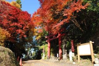 鷲子山上神社紅葉